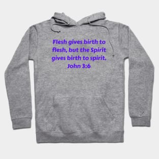 Bible Verse John 3:6 Hoodie